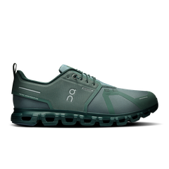 Olive Evergreen